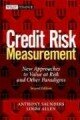 Credit Risk Measurement: New Approaches to Value at Risk and Other Paradigms (Wiley Finance)